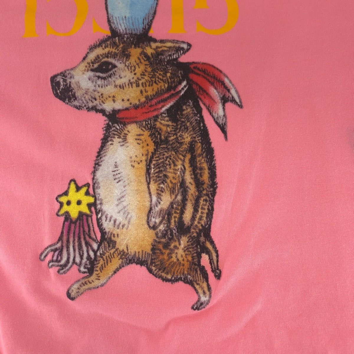 13781
GUCCI グッチ ヒグチユウココラボ サイズS ピンク マルチカラー コットン 548334 半袖Tシャツ カットソー  レディース
