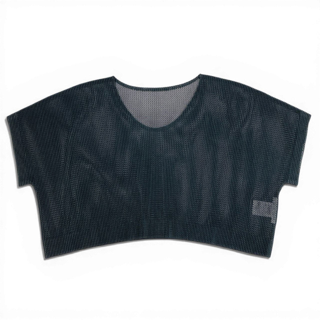 PLEATS PLEASE プリーツプリーズ メッシュ素材 クロップドワイドカットソー ブラック ポリエステル 半袖Ｔシャツ レディース SA