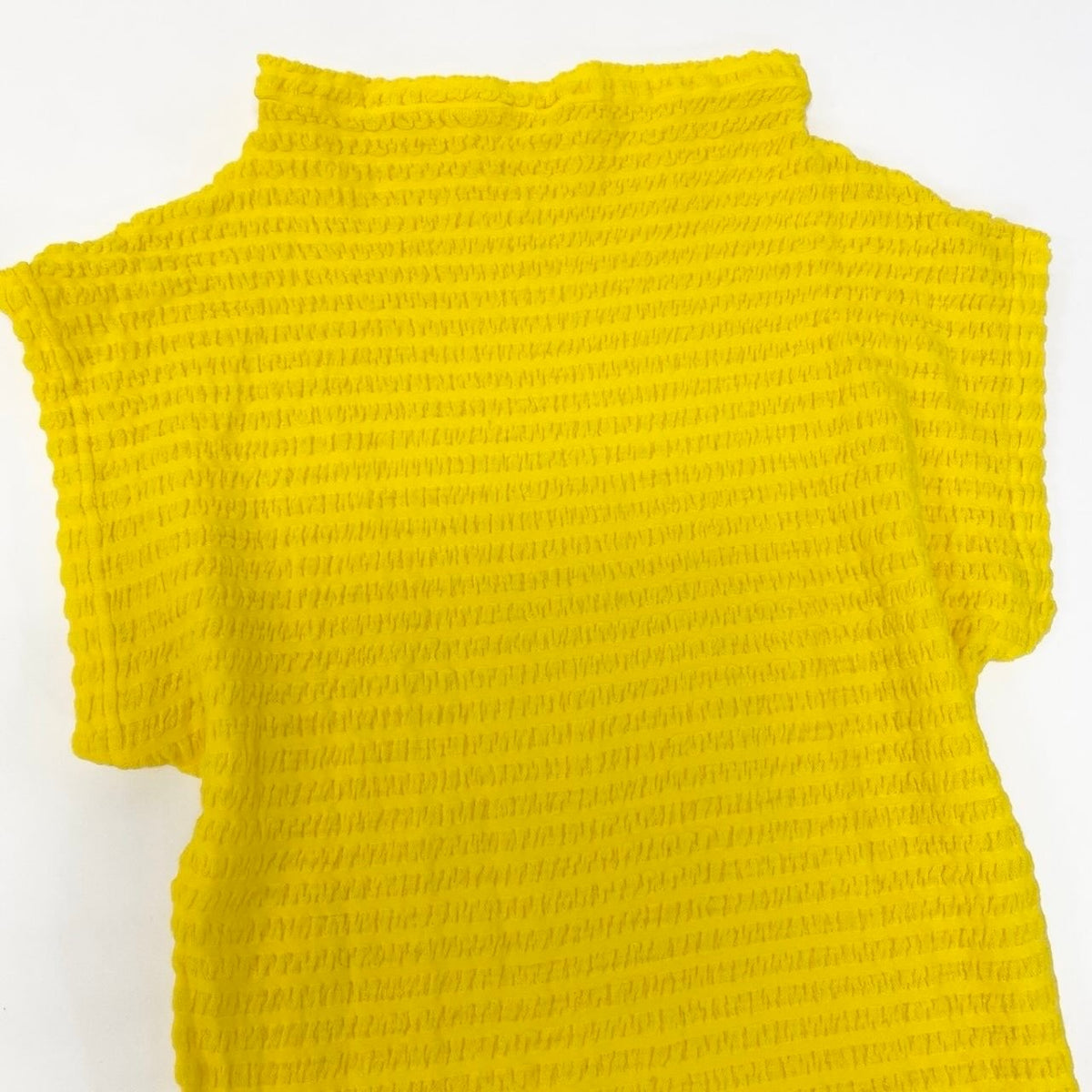 ISSEY MIYAKE A-POC INSIDE イッセイミヤケ エイポック インサイド ショートスリーブ トップス イエロー ウール / ナイロン AP33JJ405 カットソー レディース AB