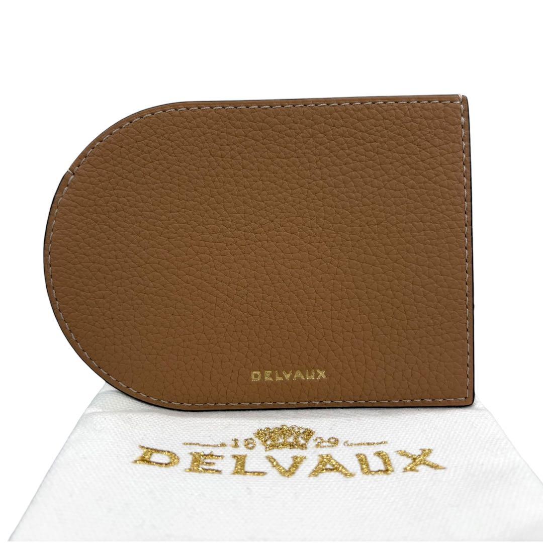 DELVAUX デルヴォー レザー パンチング ブラウン ホワイト レザー その他小物 レディース S